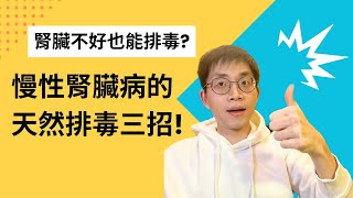 腎臟不好也能排毒? 慢性腎臟病的天然排毒三招! 不可不知