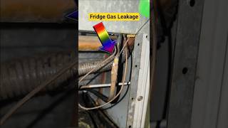 Refrigerator Gas Leak