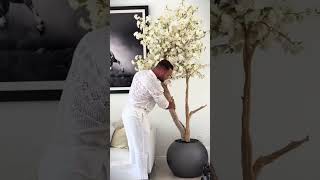 Bonsai Plant Magic: Perfect for Any Home Decor!No Maintenance, All Style!丨Interior Design