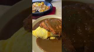 Best Eats Under $15 Spicy Curry Omurice & Teppanyaki in Ottawa!