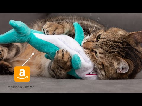 Toys and gegets your pets may loved