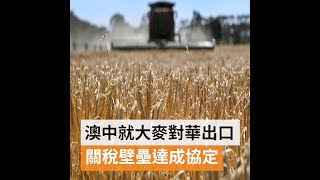 澳中就大麥對華出口關稅壁壘達成協定 | SBS中文