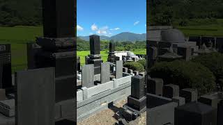 Graves Bloom Between the Rice Fields in Japan #ruraljapan #japannature #hiddenjapan #countryside