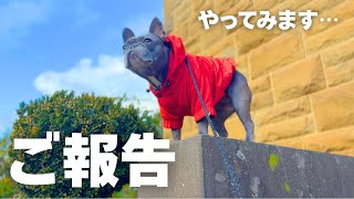 迷い続けたメンバーシップ始めてみます…! お散歩ライブ配信（+ 声出し）に挑戦。