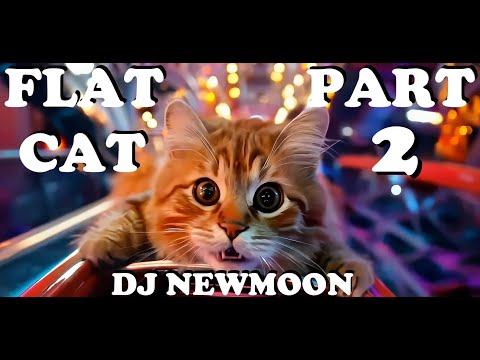 DJ NEW MOON - 𝐅𝐥𝐚𝐭 𝐂𝐚𝐭  "𝐏𝐚𝐫𝐭 𝟐"  (𝐌𝐮𝐬𝐢𝐜 𝐕𝐢𝐝𝐞𝐨)