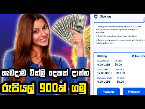 හැමදාම වීක්ලි දෙකක් දාමු | e money sinhala 2025 | online money earning 2025 | e money today