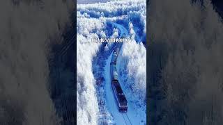 雪国列车