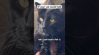 Pt.2😼 #cat #funny #cats #comedy #pets #petstagram #evilcat #memes #shorts #relatable