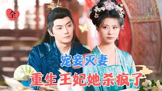 Favoring the Concubine and Disgracing the Wife: The Reborn Princess Consort Goes on a Rampage