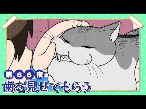 アニメ『夜は猫といっしょ』第66夜「歯を見せてもらう」