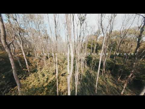 The ash dieback tragedy from the eyes of a FPV drone