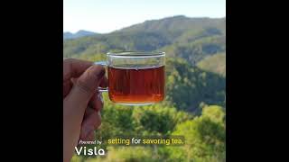 Sip Serenity: Tea Moments with Evergreens