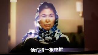 馬來西亞中華膠說華裔穆斯林非度黃去新疆考察說沒有集中營， 希望吹牛牆國盡快建立中華膠集中營