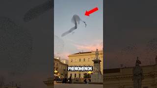 Top 5 Phenomenon That Can Never Be Explained 🫣🫢