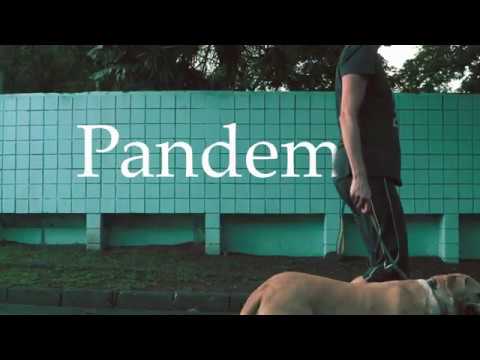 Passeio Durante a Pandemia