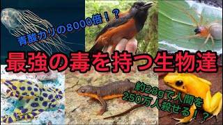【もはや生物兵器】最強の毒を持つ生物ランキングTOP10