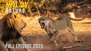 SOUTH AFRICA | Survival on the Big Five Plains #naturedocumentaries | Wild Nature