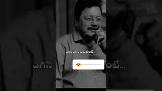 https://youtube.com/@BalutigerSafeshopIndia?si=-LXPxbyhnbmGwA-w #balusailu 🏃🏃🏃🏃🫵🫵💐💐👌
