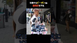 ビーガン vs 学生