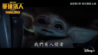 【《曼達洛人》第3季現已獨家上線‼️🔥 】