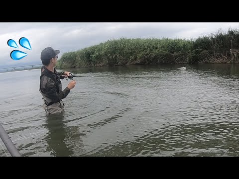 【Hi】タイニーでこんな釣れ方したら心が痛いにー