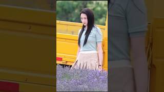 Guan Xiaotong "Dazzling" Lavender Field Reuters  #Liyunrui #chinesedrama #cdrama #drama #series