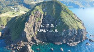 【ドローン 4K】新潟県佐渡島の絶景　大野亀・二ツ亀 | DJI MAVIC AIR2