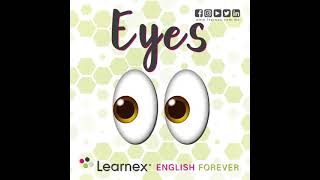 Deletrea y escribe mas fácil en Inglés con Learnex