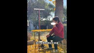 落叶满地，正配烟的香气#vlog日常 #记录真实生活