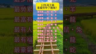 12生肖之最，你上榜了嗎#佛 #正能量 #心灵感悟 #感情 #翻身 #氣場#人生感悟 #易经 #傳統文化 #星座 #命理 #事業 #生肖 #運勢 #性格分析 #shorts #特質 #mbti #榜樣