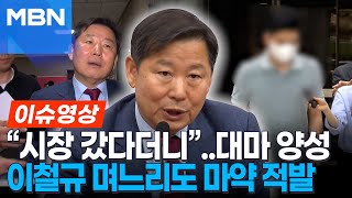 대마 투약 논란 확산…이철규 의원 아들·며느리 모두 양성 [이슈영상]