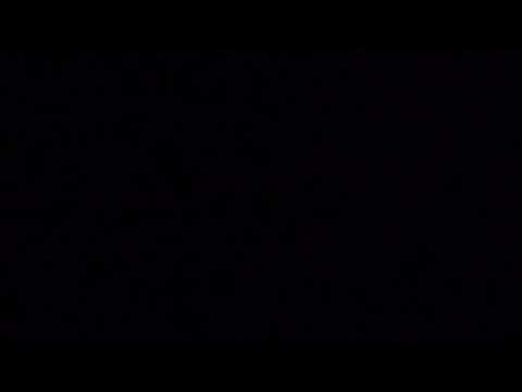 Dave McDonald Live Stream