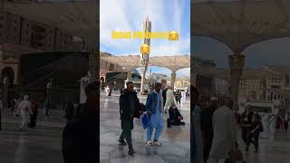 Yeah shehar e Mustafa hai madina kareem hai #quranrecitation #quran #shairi #hafidh #islamicvideo 😘😘