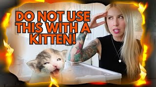 BEWARE: This Product Could Kill Your Kitten