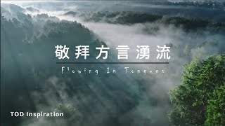 Flowing In Tongues【方言系列】FT003 / TOD Inspiration