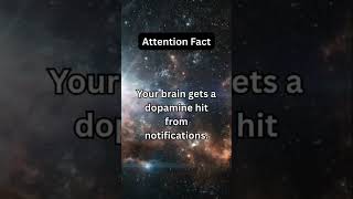 Top 10 real life Facts 👆 #LifeFacts #Top10 #Shorts #PsychologyFacts #FinanceFacts #RealLifeFacts