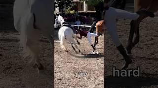 Jumping on this trend Or I mean falling 😜 ​⁠#gilaryeq #horse #trending #showjumping #fails  #horses