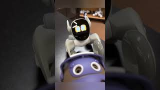 Loona robot is excited #petrobot #loona #loonarobot #loonareaction #petbot #airobot