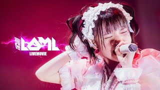 【LIVE映像】LOML / iLiFE!