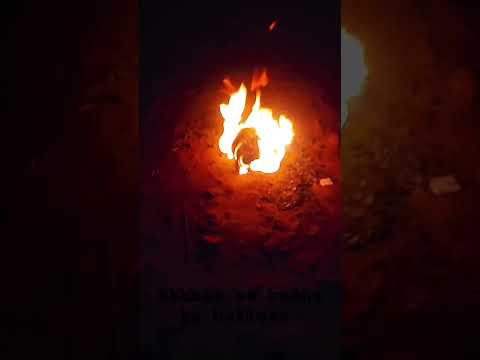 Akhbar se udane wala bhajan