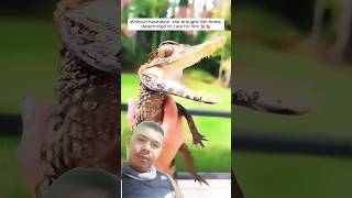 #reptiles #lizard #crocodile #animals #alligator #animalstories #animallovers