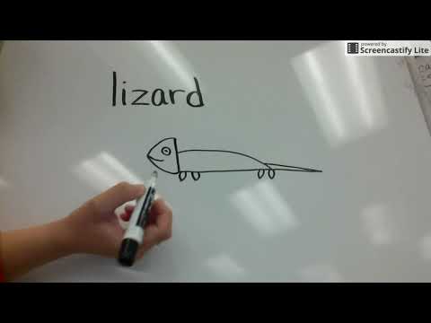 How to draw a lizard