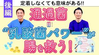 乳酸菌サプリは意味がない？→実は通過菌(乳酸菌)のメリットが　通るだけで免疫スイッチON　乳酸菌の真のチカラとは No.545