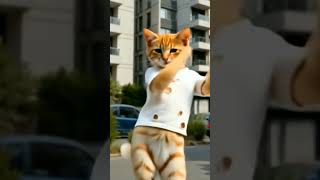 😼🧡 #Catwalk #FurryFashion#CatStyle#FunnyCat#UrbanCat#CatSwag#CatTok#StylishCat#AnthroCat#CatVibes