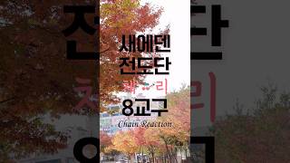 [SEED]2024 후반기 체인리액션!~~~ 🍒8교구 협력전도🍒