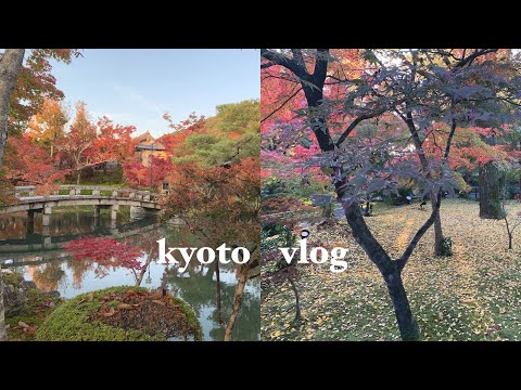 【社会人休日vlog】京都で紅葉狩りして心を浄化する。永観堂が見頃で圧巻！おすすめのご飯屋　holiday vlog/kyoto trip/autumn leaves