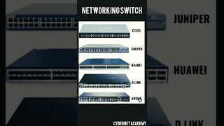 Networking Brands Offering Gigabit Switches What’s the Best 48-Port Switch for Network Expansion?