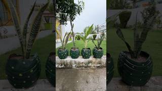 #ideas #creativity #usefultips #youtubeshorts #viralshorts #trendingshorts #shortvideo #subscribe