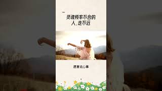 灵魂频率不合的人，走不远