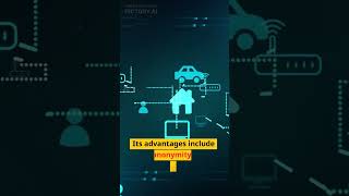 The Rise of Cryptocurrency